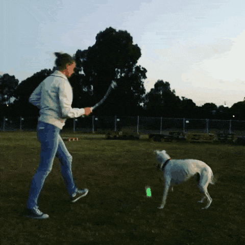 149558947377122.gif