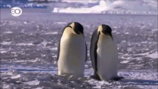 149559473374693.gif