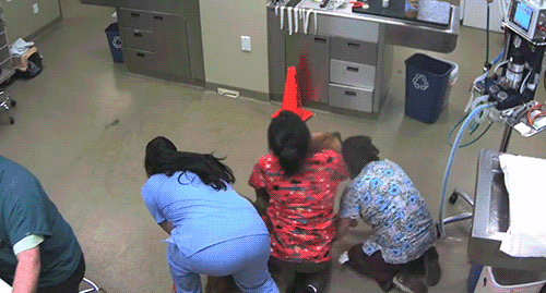 149577862377352.gif