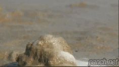149578287795647.GIF