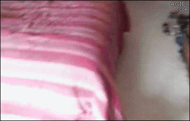 149601866511254.gif