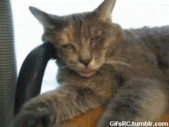 149602916353010.gif