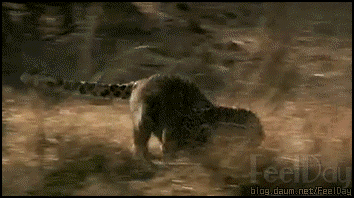 149604076939077.gif