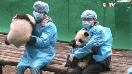 149604301072128.gif