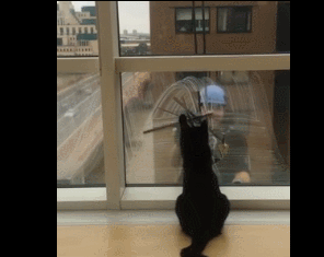 149605423114837.gif