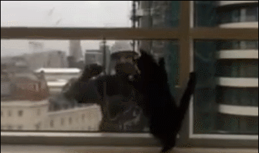 149605423393155.gif