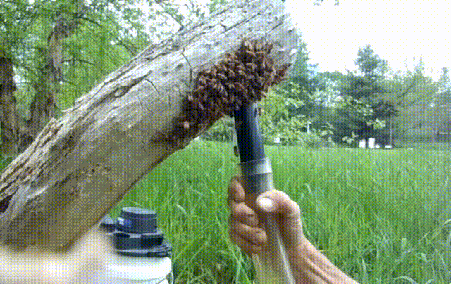 149606822276109.gif