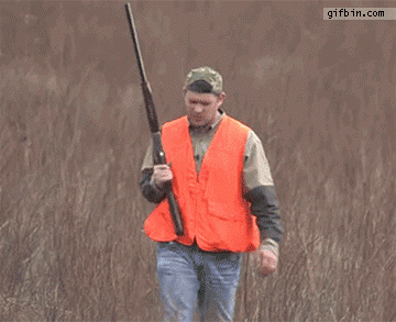 149609999466624.gif