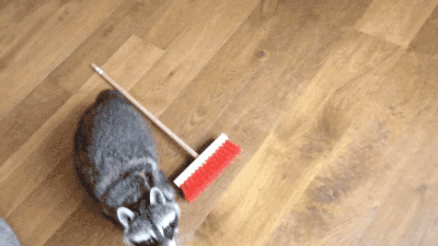 149610315778436.gif