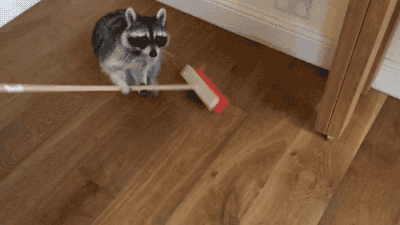 149610315999075.gif