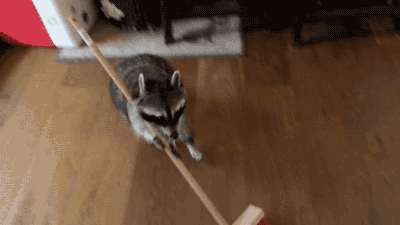 149610316135303.gif