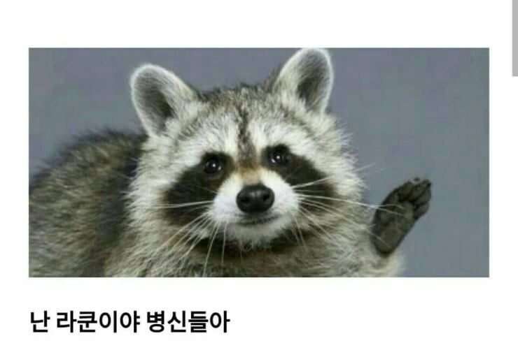 149610316214357.JPEG