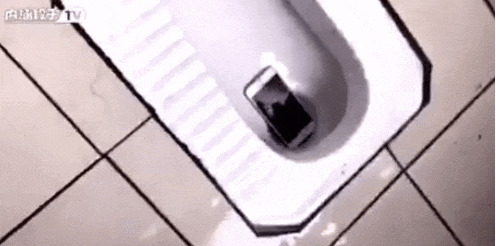149610710288686.gif