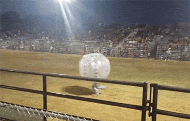 149627871281119.gif