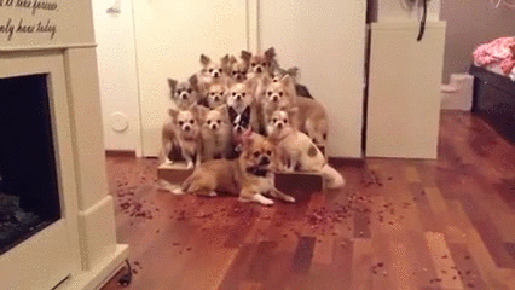 149627985781936.gif