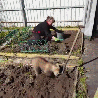 149671357015934.gif