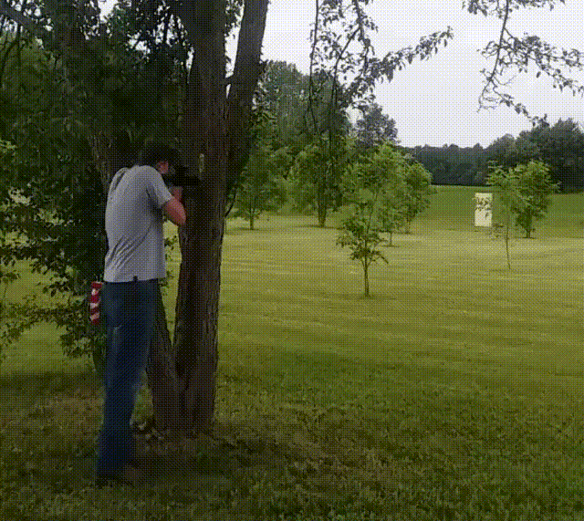 149671577655233.gif