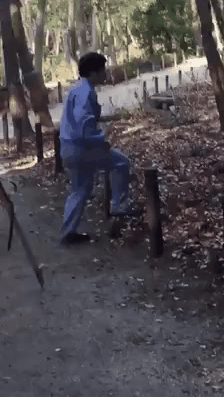 149671804133688.gif
