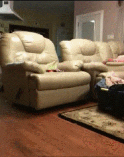 149706168327352.gif
