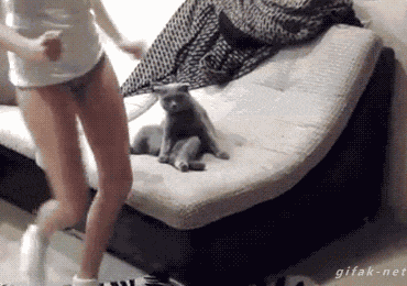 149706264420079.gif