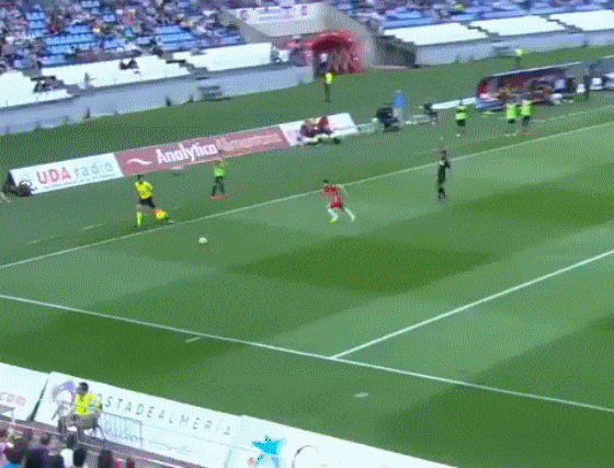 149745005275495.gif