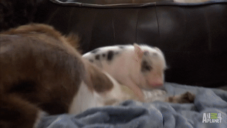 149745237976722.gif