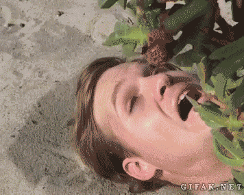 149745667567188.gif