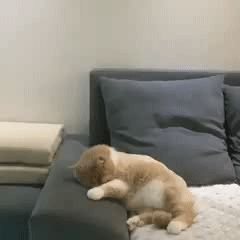 149745771369835.gif