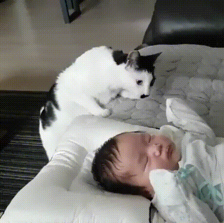 149758922938387.gif