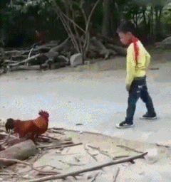 149817890428701.gif