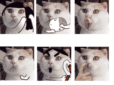 149818014772744.gif
