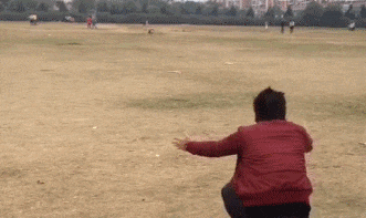 149822747994567.gif