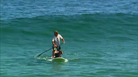 149861014341561.gif