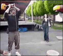 149862717537613.gif