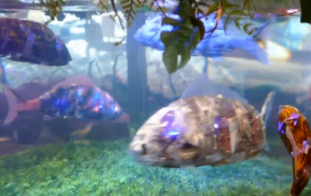 149912943734942.gif