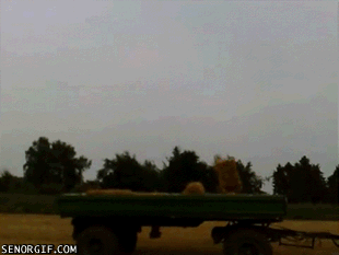 149939387294915.gif