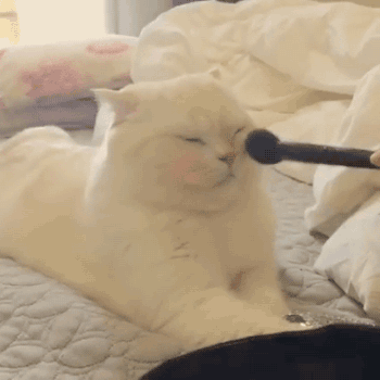 149957288191600.gif