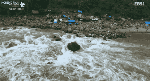 149957357866564.gif
