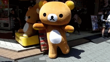 149957660488148.gif