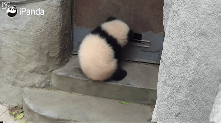149964437499021.gif