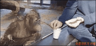 149965104619150.gif