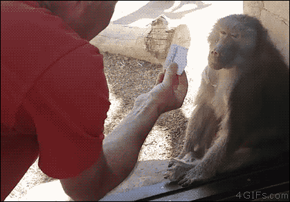 149965104725891.gif