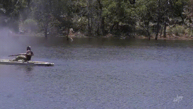 149966088085518.gif