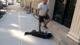 149983162786784.gif