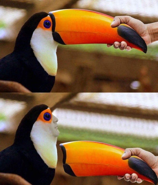 149986663263629.jpg