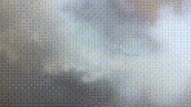 149990879751170.gif