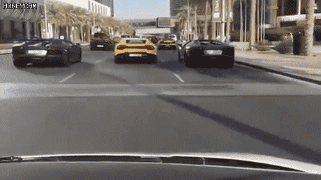 149990897243834.gif