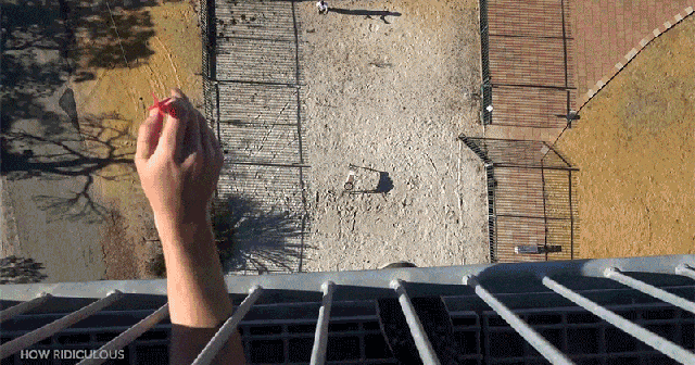 149994701659721.gif