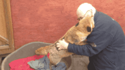 150000074560430.gif
