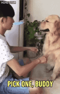 150008196889056.gif